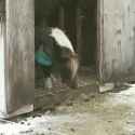 979 KB