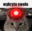 73 KB