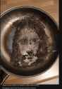 747 KB