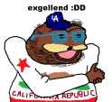 26 KB