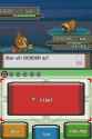 17 KB