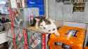 1.85 MB