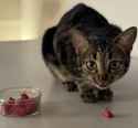 1.92 MB