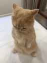 3.46 MB