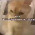 185 KB
