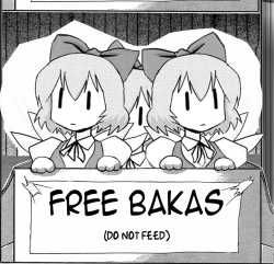 173 KB