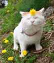 44 KB