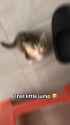 607 KB