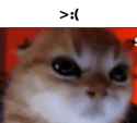 22 KB