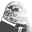 31 KB
