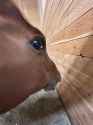 393 KB