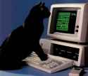 287 KB