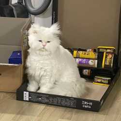 88 KB
