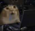 327 KB
