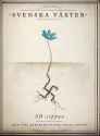 25 KB