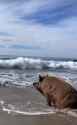 54 KB