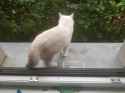 2.14 MB