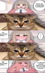 197 KB