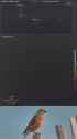 765 KB