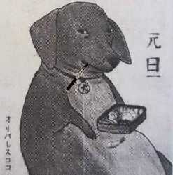 437 KB