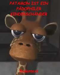 29 KB
