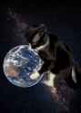 1.36 MB