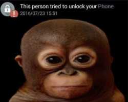 81 KB