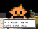 31 KB