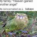 835 KB