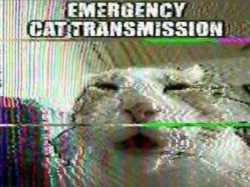 67 KB