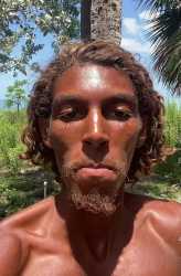 431 KB
