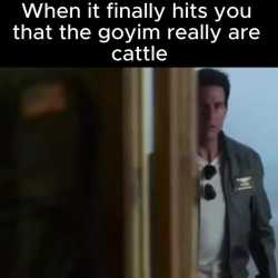 602 KB