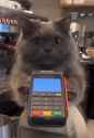 164 KB