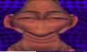 137 KB