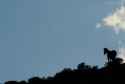 66 KB