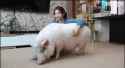 1.61 MB