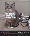 116 KB