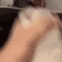 526 KB