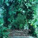 217 KB