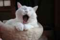268 KB
