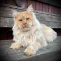 2.02 MB