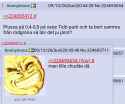 333 KB