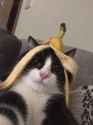 118 KB