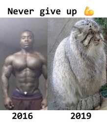 337 KB