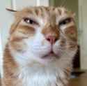 64 KB