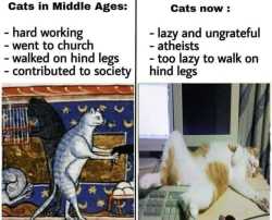 205 KB
