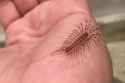 68 KB