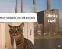 17 KB
