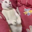 37 KB