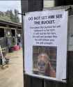 238 KB